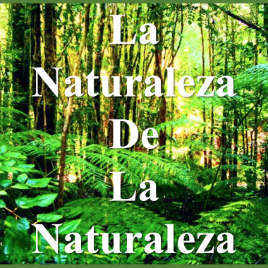 La Naturaleza de la Naturaleza