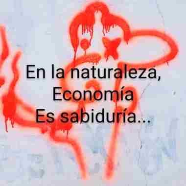 En la naturaleza, economía es sabiduría…